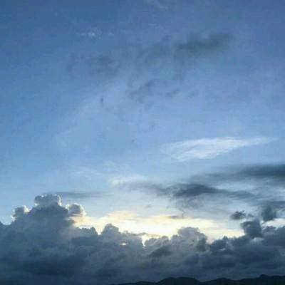 bob·体育综合app