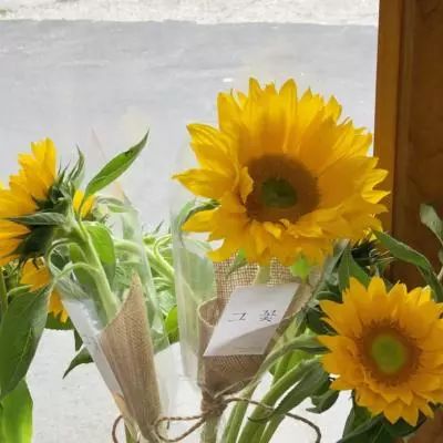 新澳门游戏网站入口